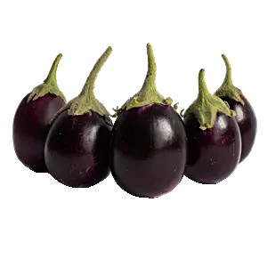 Brinjal